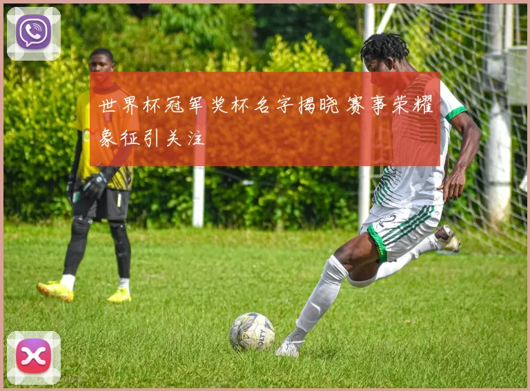 世界杯冠军奖杯名字揭晓 赛事荣耀象征引关注