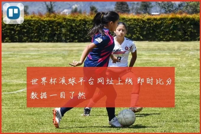 世界杯滚球平台网址上线 即时比分数据一目了然